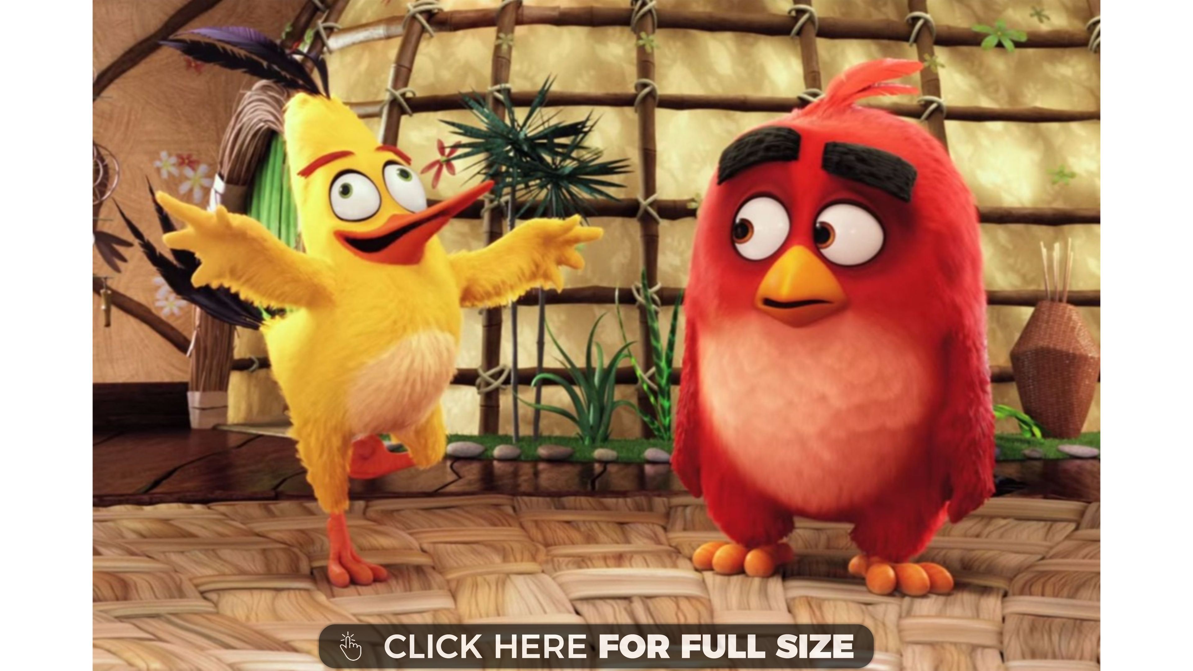Trending The Angry Birds Movie 4k Wallpaper