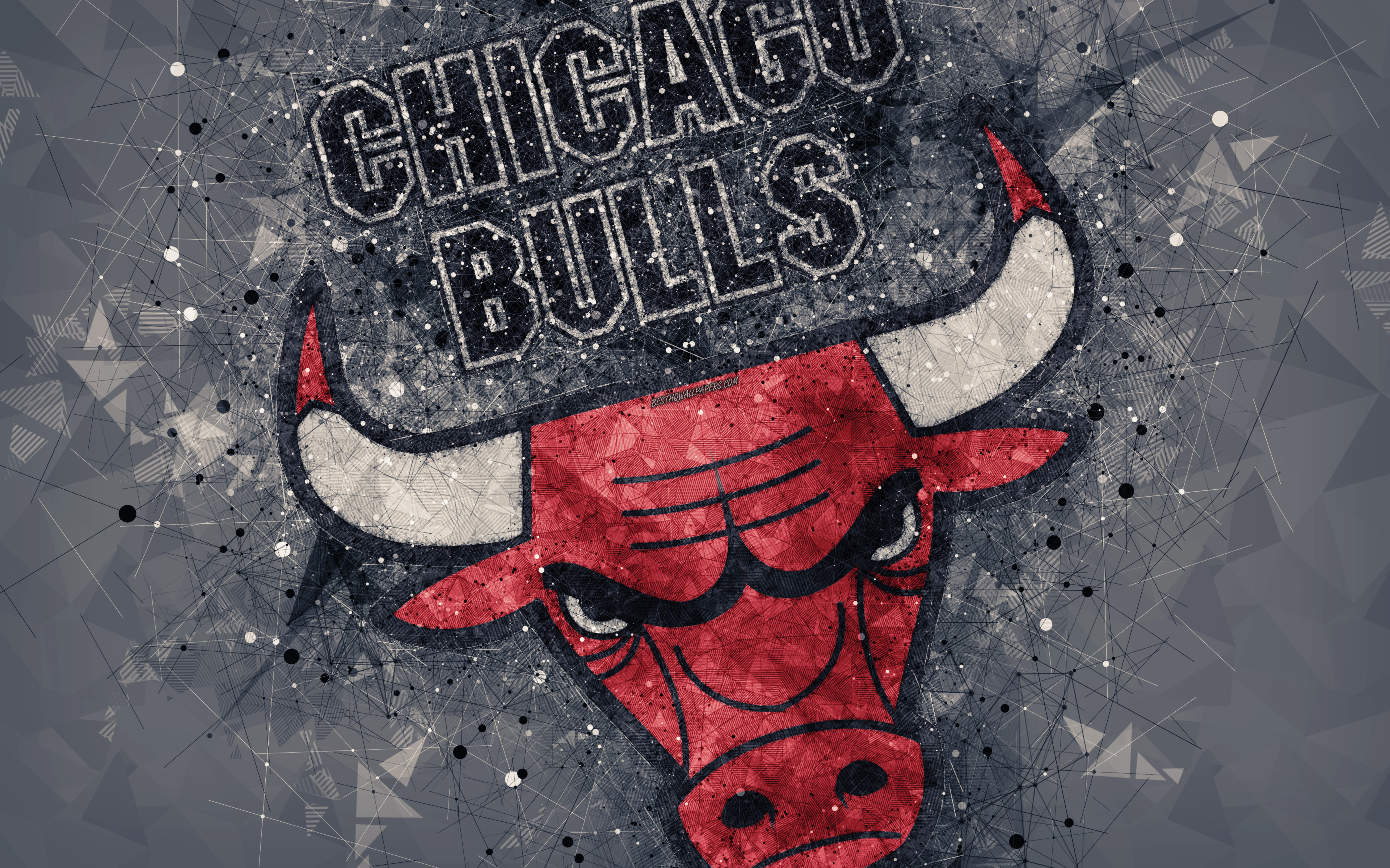 Chicago Bulls Logo 4k Ultra HD Wallpaper Background Image