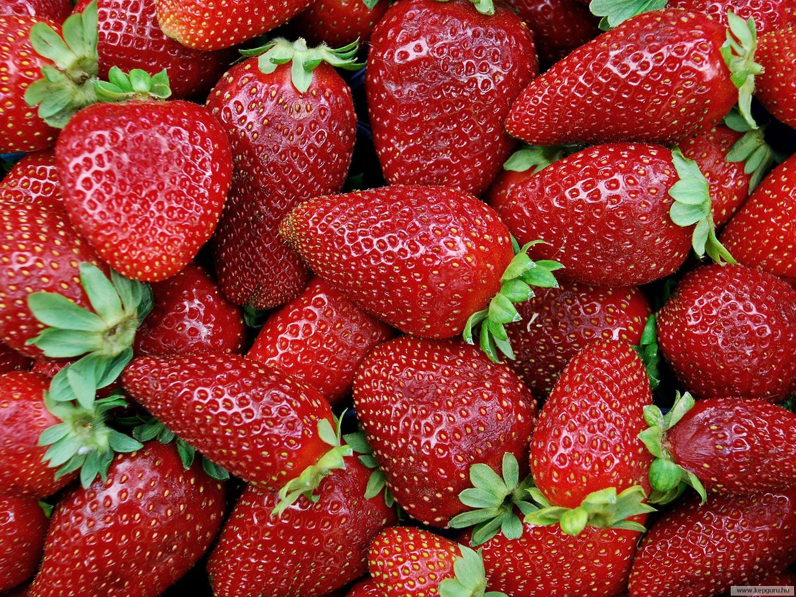 Strawberries Wallpaper