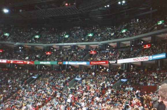 Arena Crowd