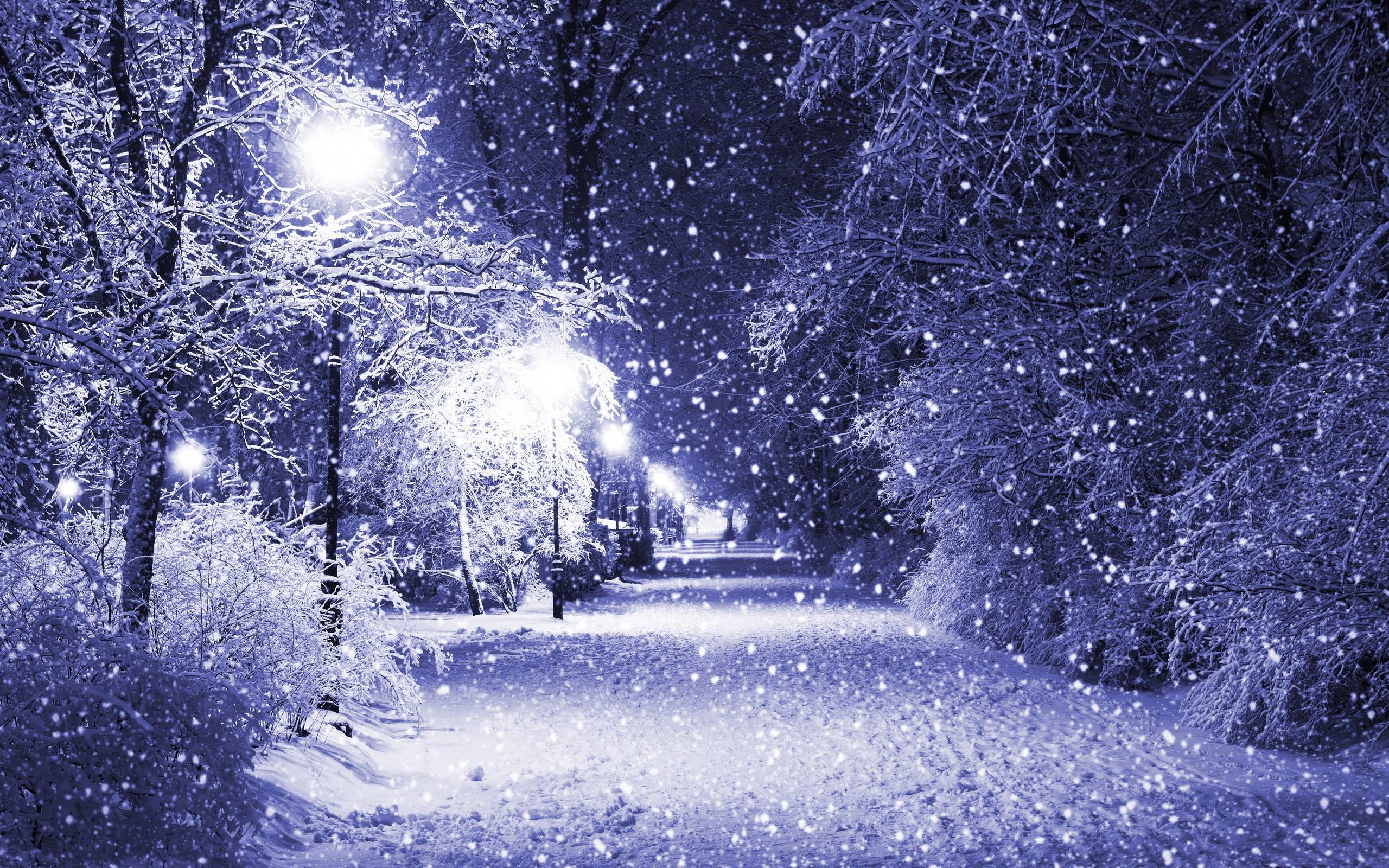 Beautiful Winter Wallpaper Image