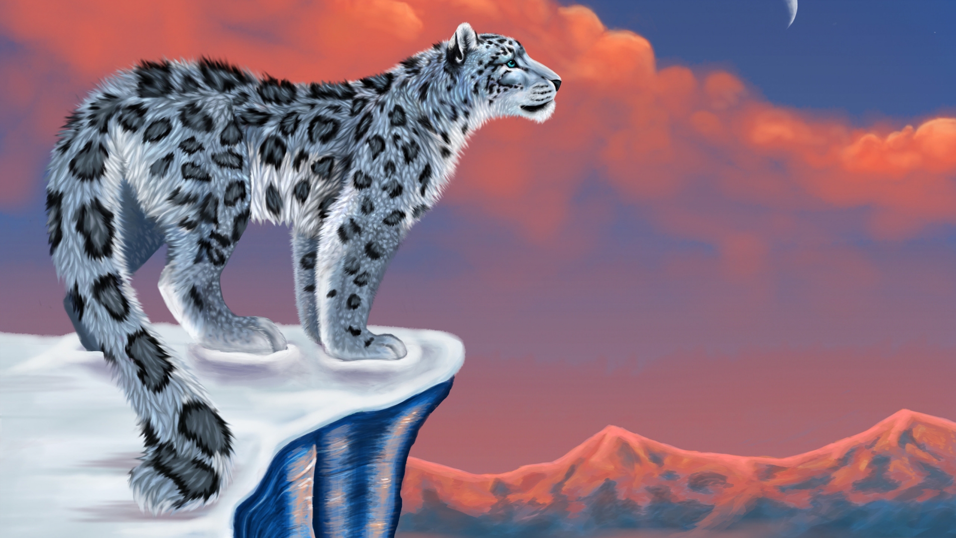 3d Animal Leopard Background HD Wallpaper Stylish