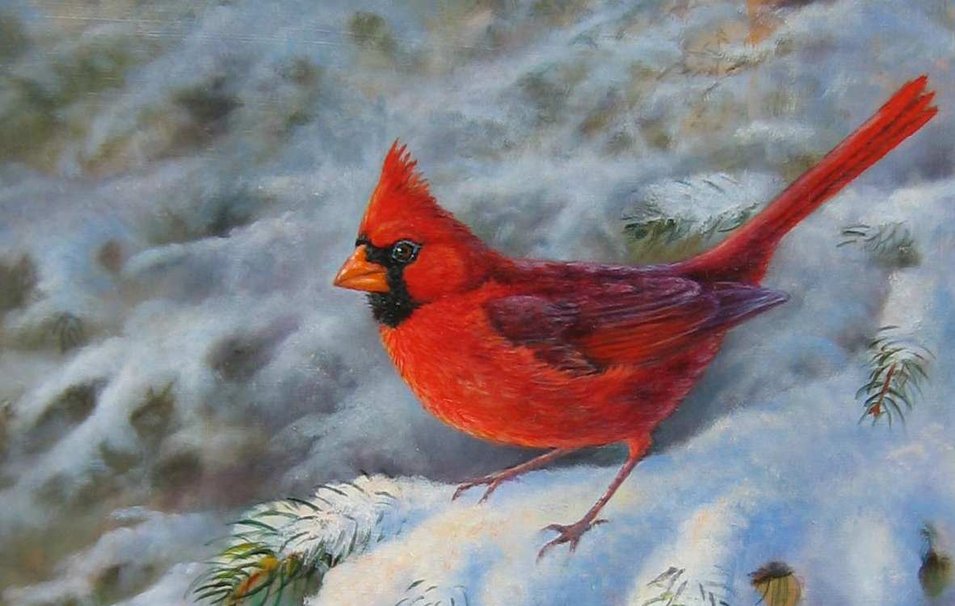 Winter Cardinal Wallpaper