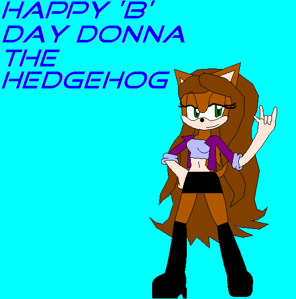 Happy B Day Donnathehedgehog By Sammieslim
