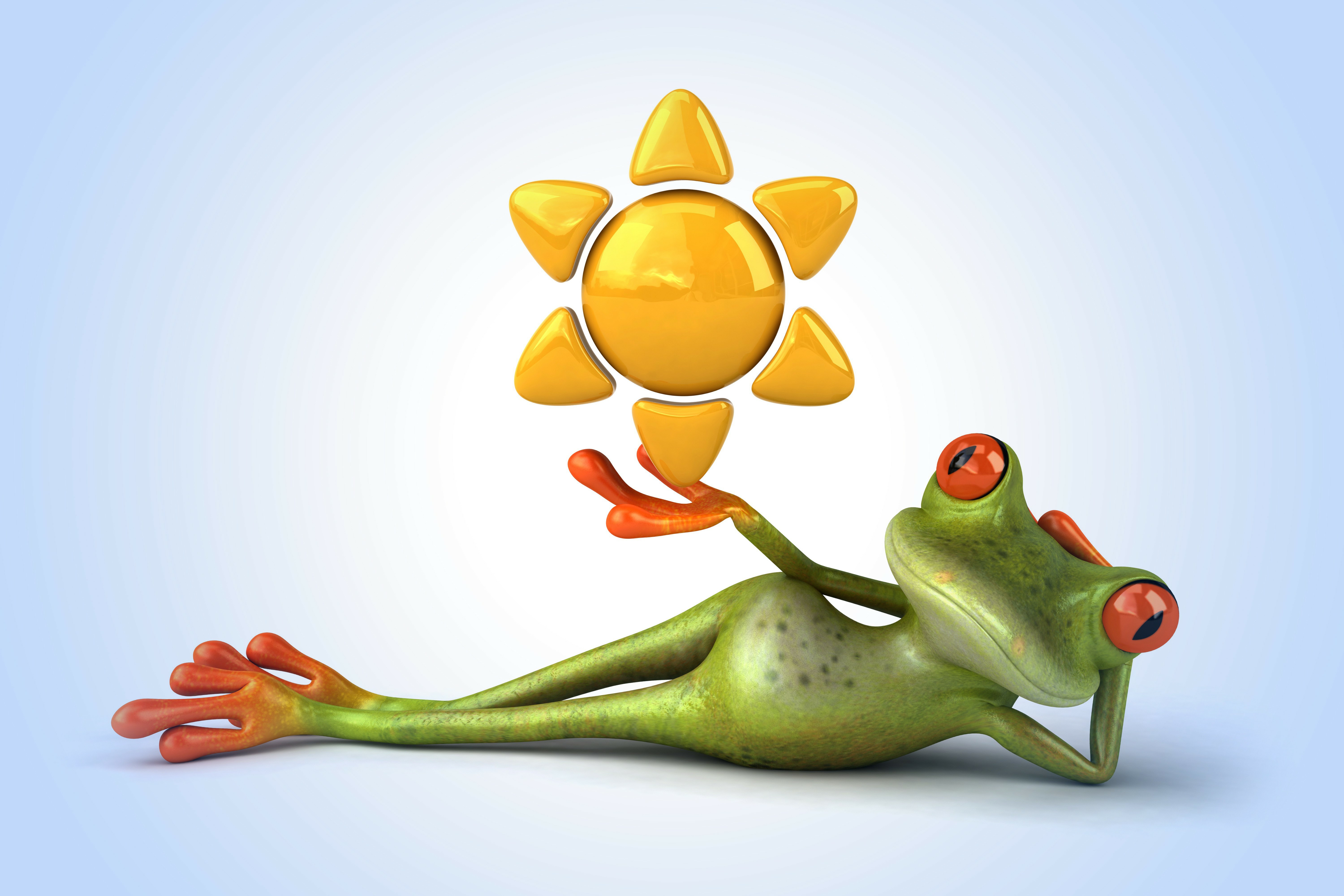 Free Hd 3d Funny Frog Wallpapers Download