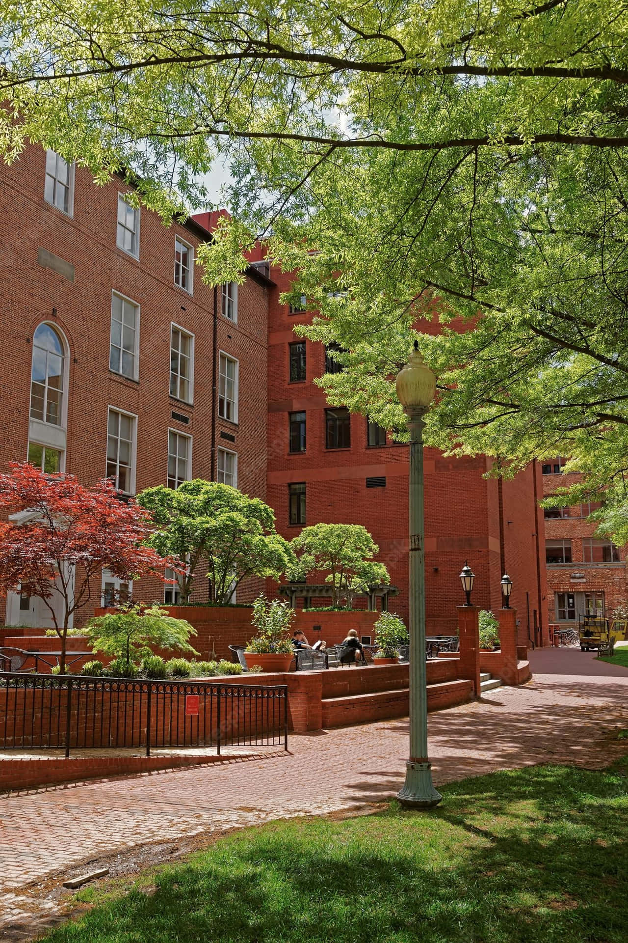 George Washington University Walkway Wallpaper