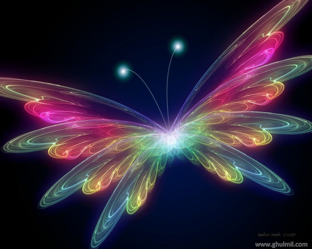 3D Butterfly wallpaper   Butterflies Wallpaper 31063788 1280x1024
