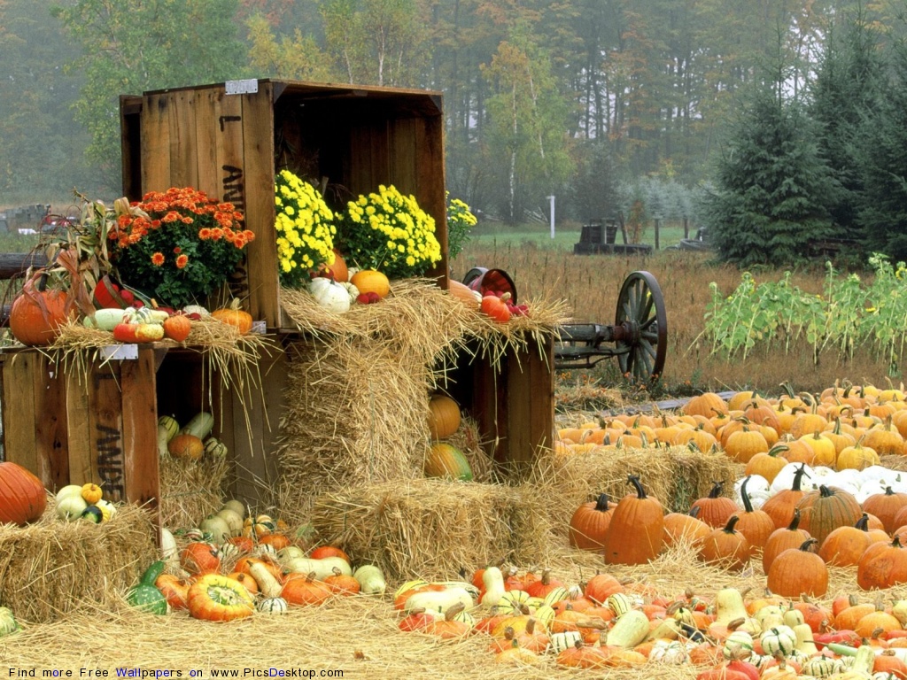Nature Autumn Desktop Wallpaper Pics