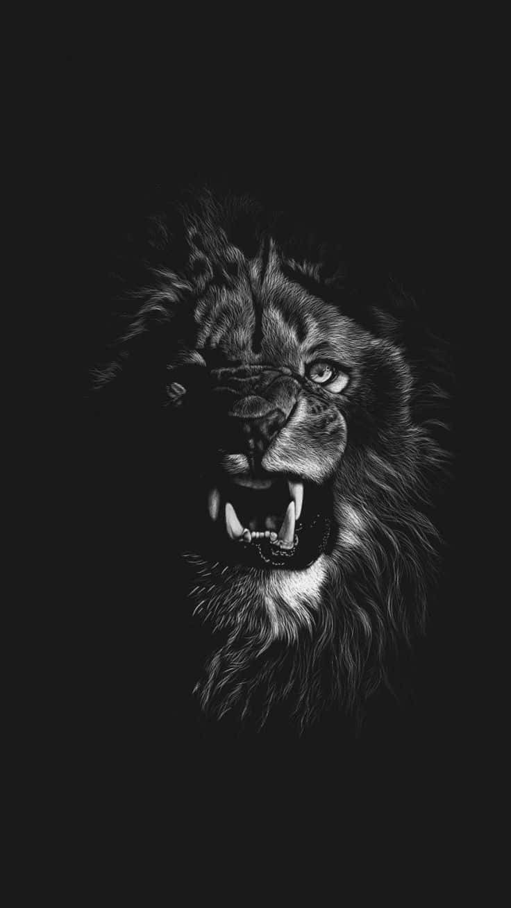 Black And White Lion Wallpaper