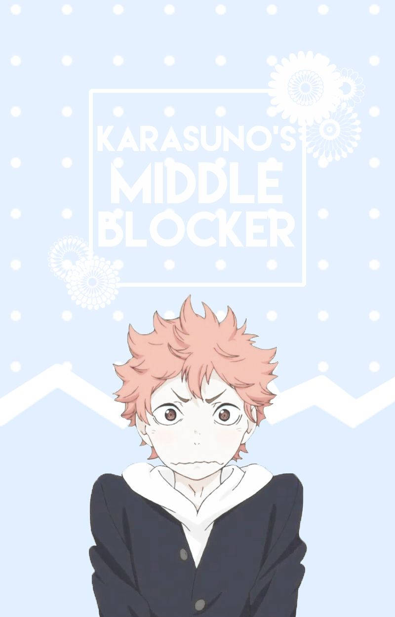 Shoyo Hinata Wallpaper