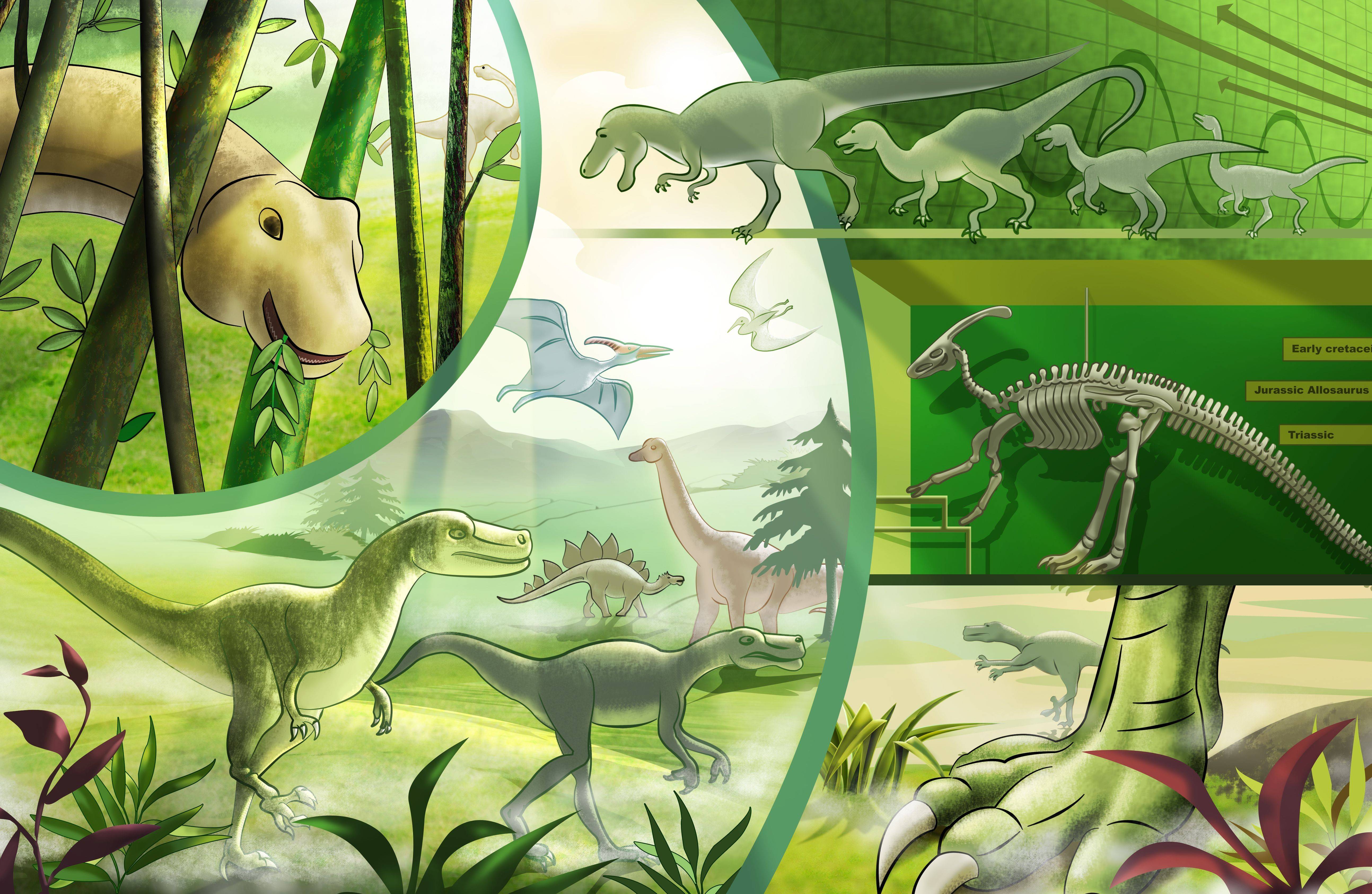 Dinosaurs Kids 51753375 Wallpaper 1697228