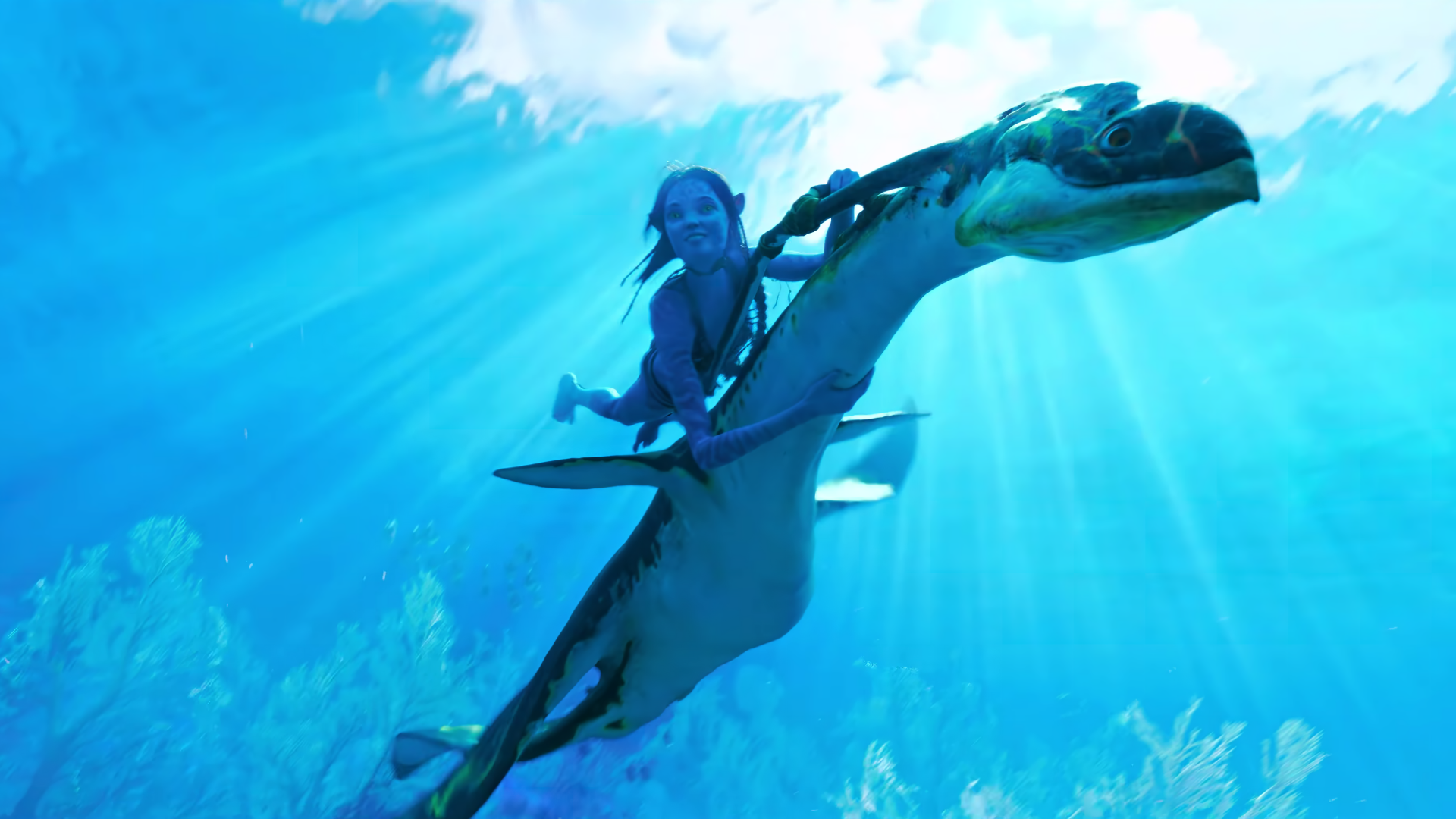 Ocean Water Avatar Wallpaper