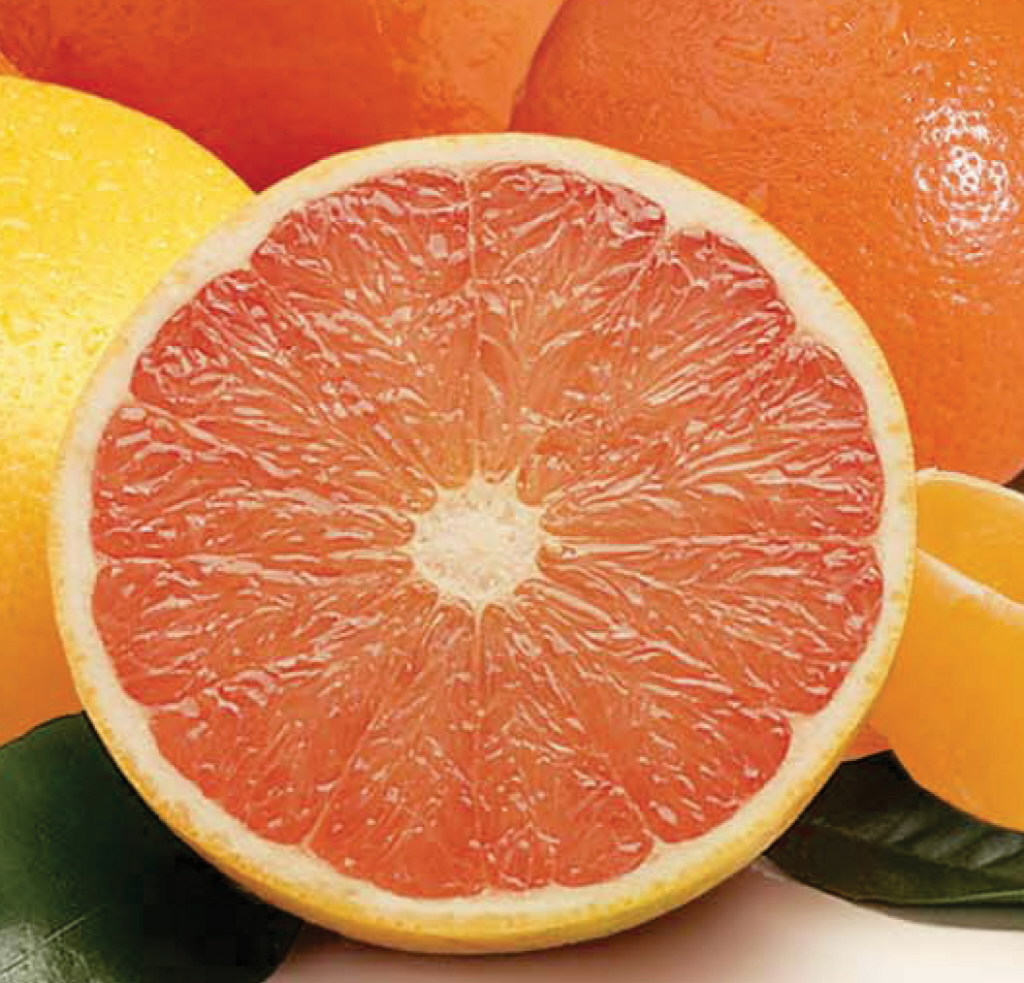 Grapefruit Size Parison HD Wallpaper Background Image
