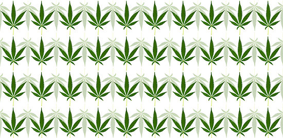 Marijuana Leaf Background By Creativedesignz