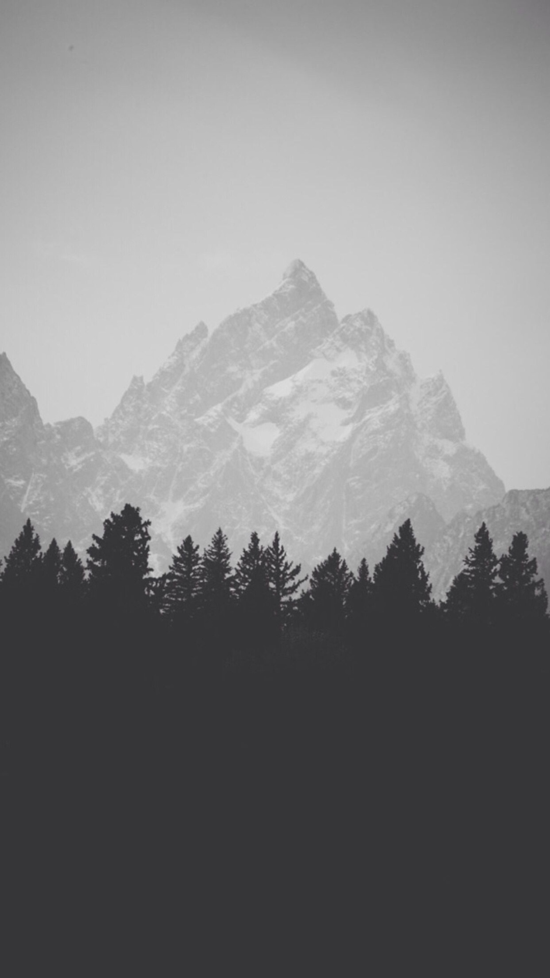 Winter Mountain Peak Pine Forest Line iPhone Plus HD Wallpaper