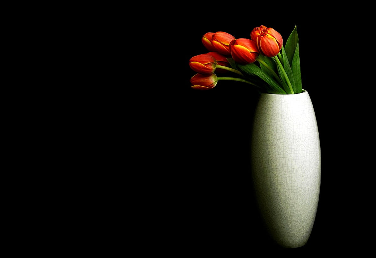Vase Wallpaper HD