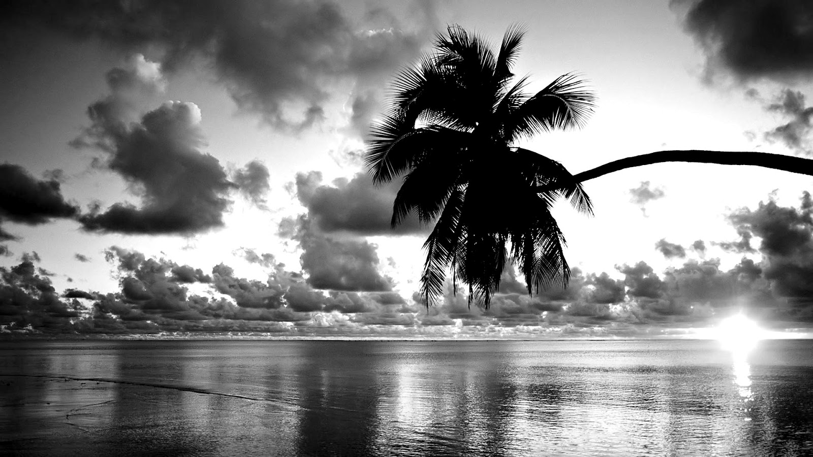 Beautiful Sunset Wallpaper Black And White Photography