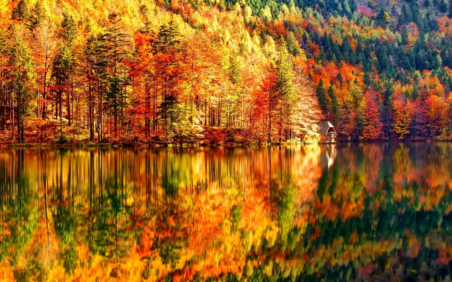 Wallpaper HD Autumn Landscape Expert