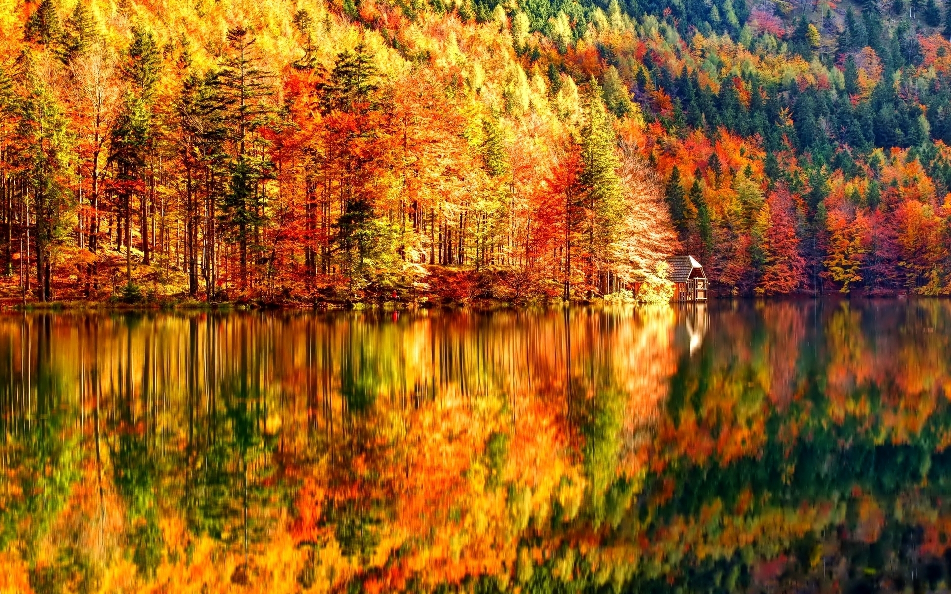 Wallpaper Hd Autumn Landscape Expert