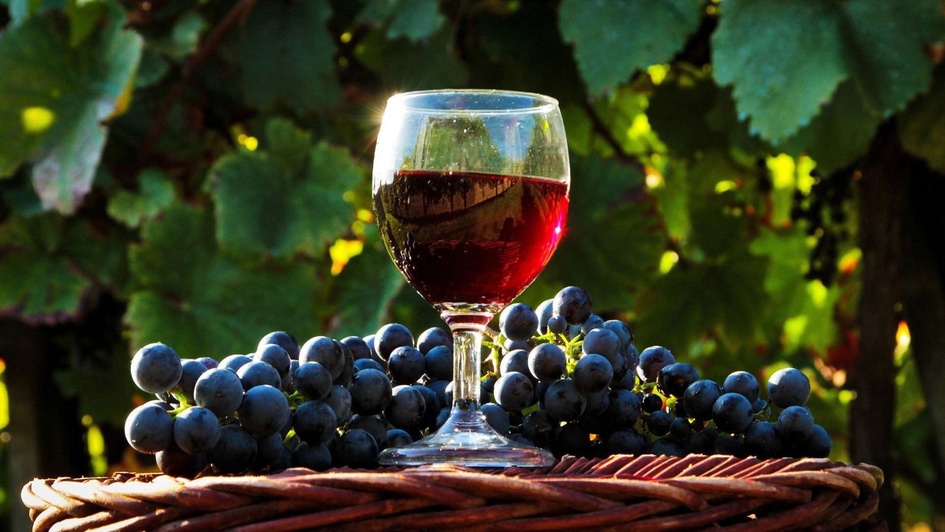 Wine And Grapes Wallpaper