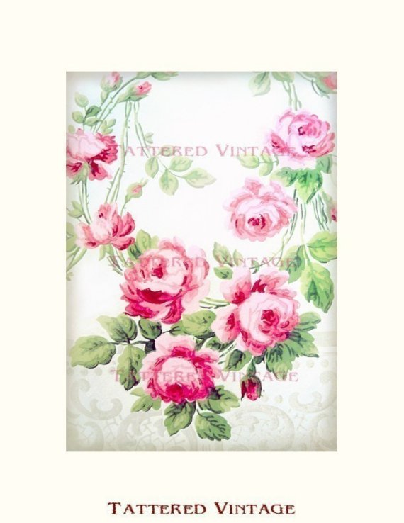Romantic Antique Wallpaper Pink Cabbage Roses On White Victorian Lace
