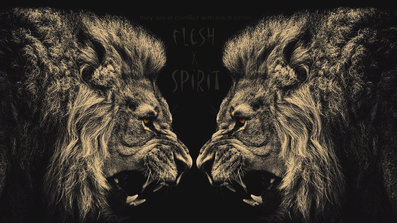 They Are In Conflict With Each Other Flesh Spirit Lions Christian