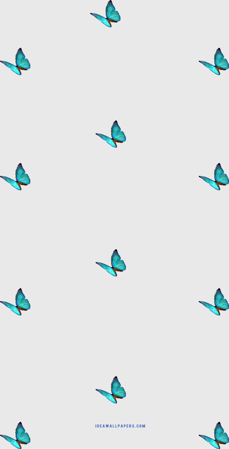 Butterfly iPhone Wallpaper