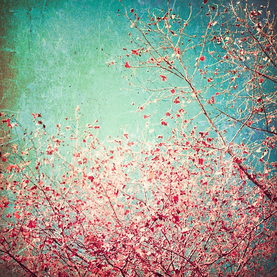 Pink Autumn Leafs On Blue Textured Background iPhone 6s Snap