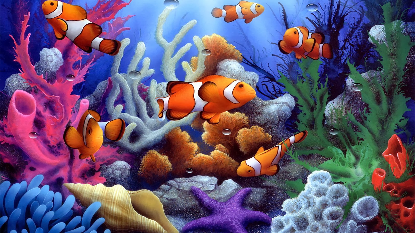 Underwater Coral Fish Wallpaper Beautiful Desktop