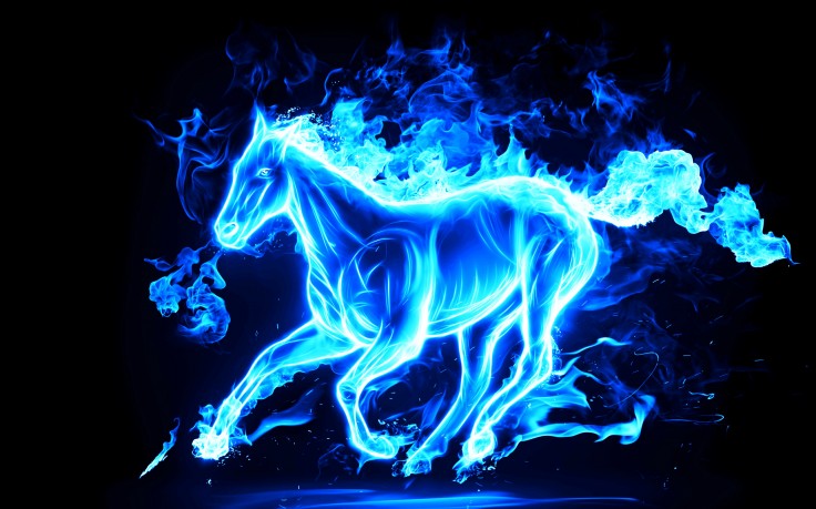 Horse A Blue Fire HD Wallpaper Desktop Background