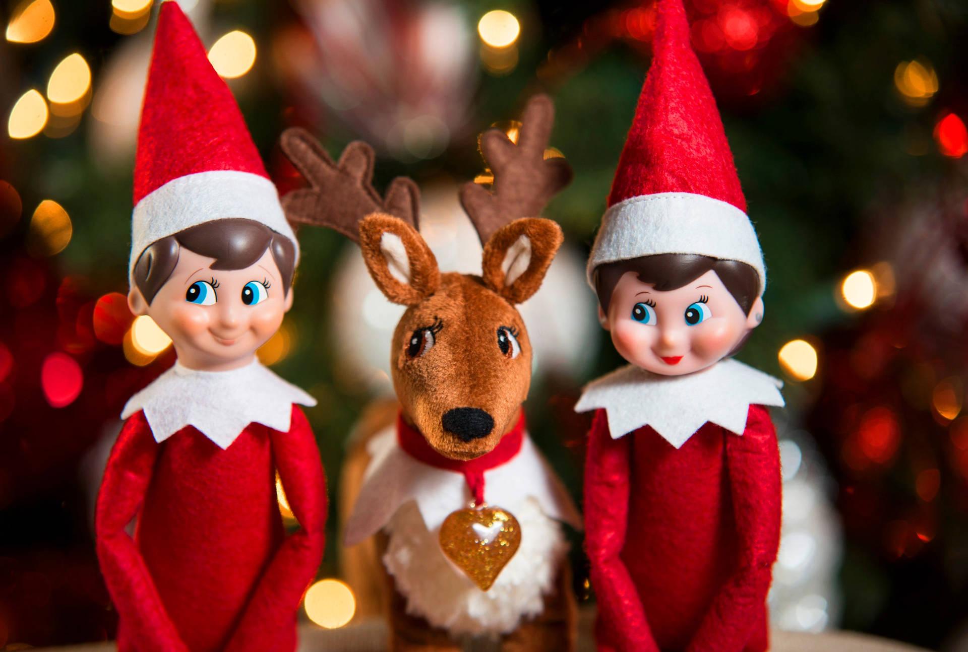 Christmas Elf With A Reindeer Wallpaper