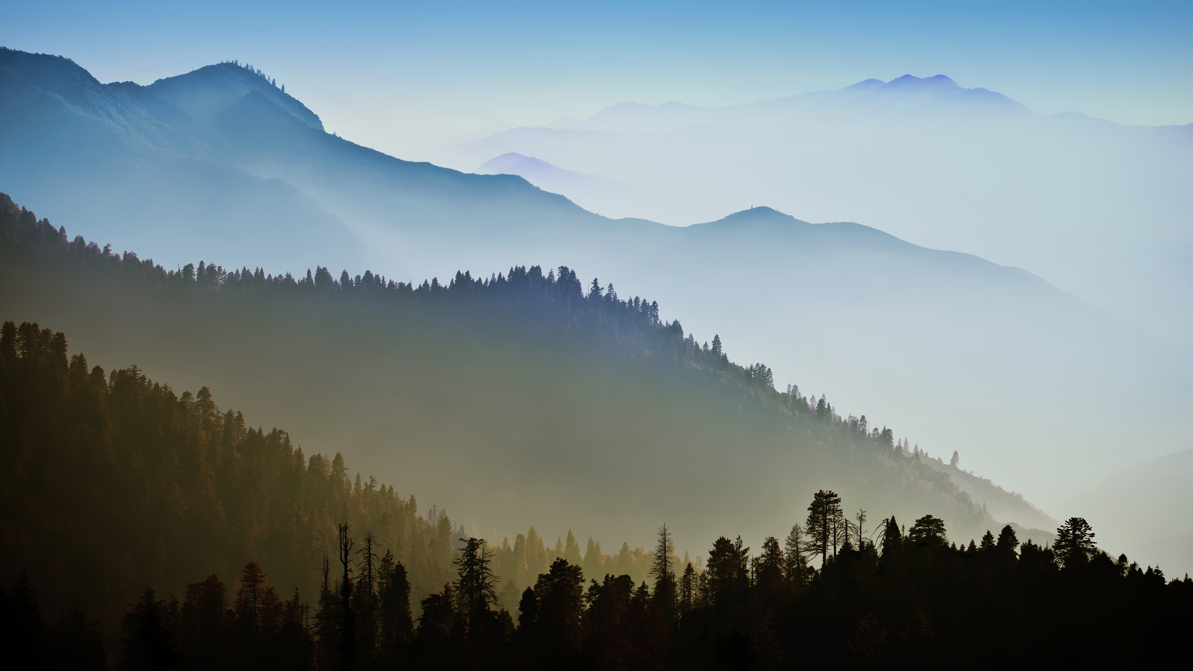 mountain range fog sunrise landscape tree mac ox ultrahd 4k wallpaper