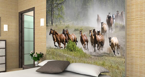 Horse Mural Wallpaper