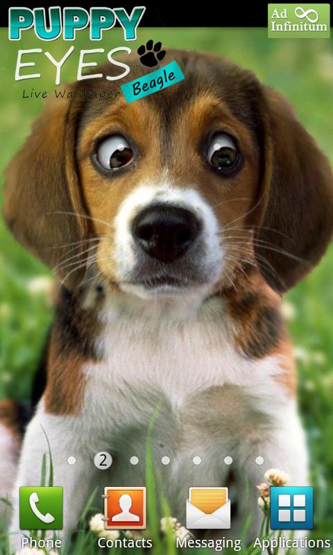 Puppy Beagle Live Wallpaper Android Apps On Google Play