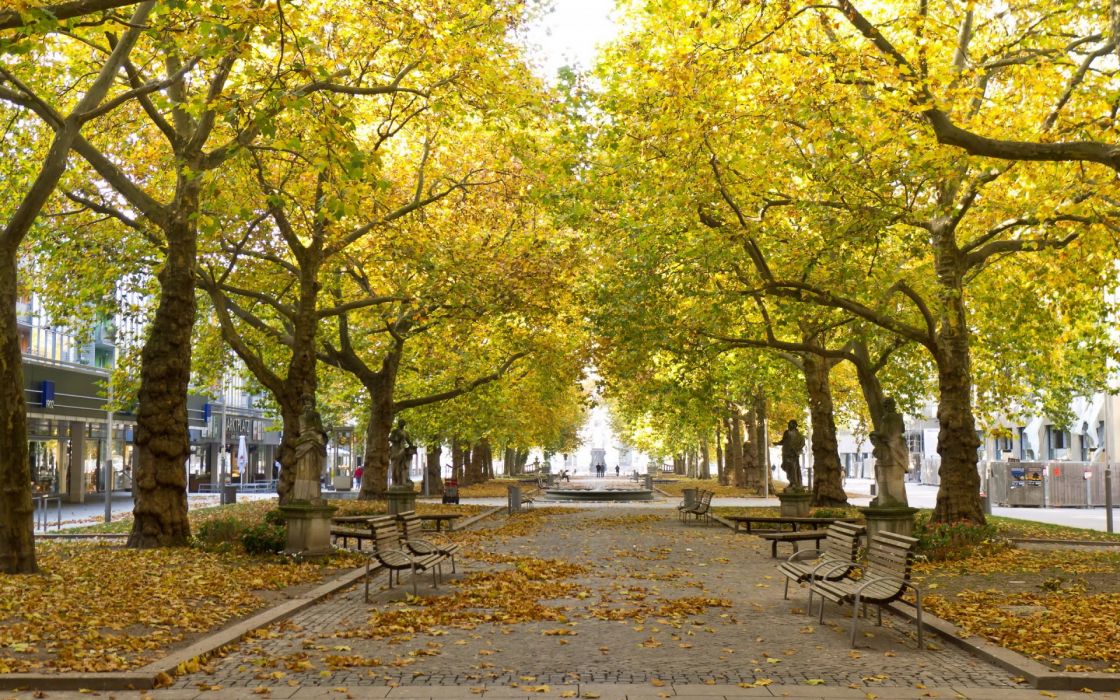 Sidewalk Park Statue Bench Trees Leaves Autumn Fall