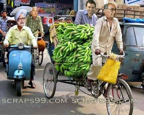 Free download Funny Indian Political Funny Jokes on Indian Politicians  [500x400] for your Desktop, Mobile & Tablet | Explore 45+ Funny  Presidential Wallpapers | Funny Background, Wallpapers Funny, Funny  Wallpapers