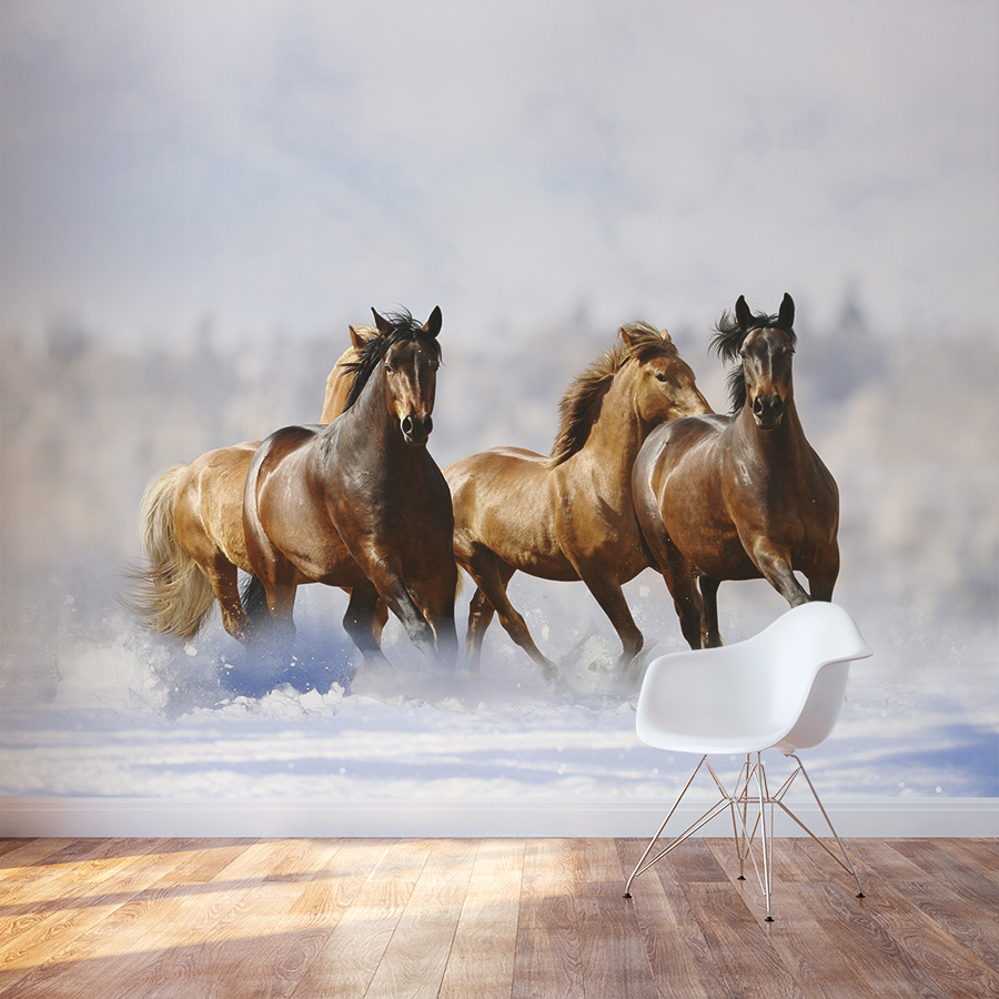 Running Horse Mural Wallpaper Background