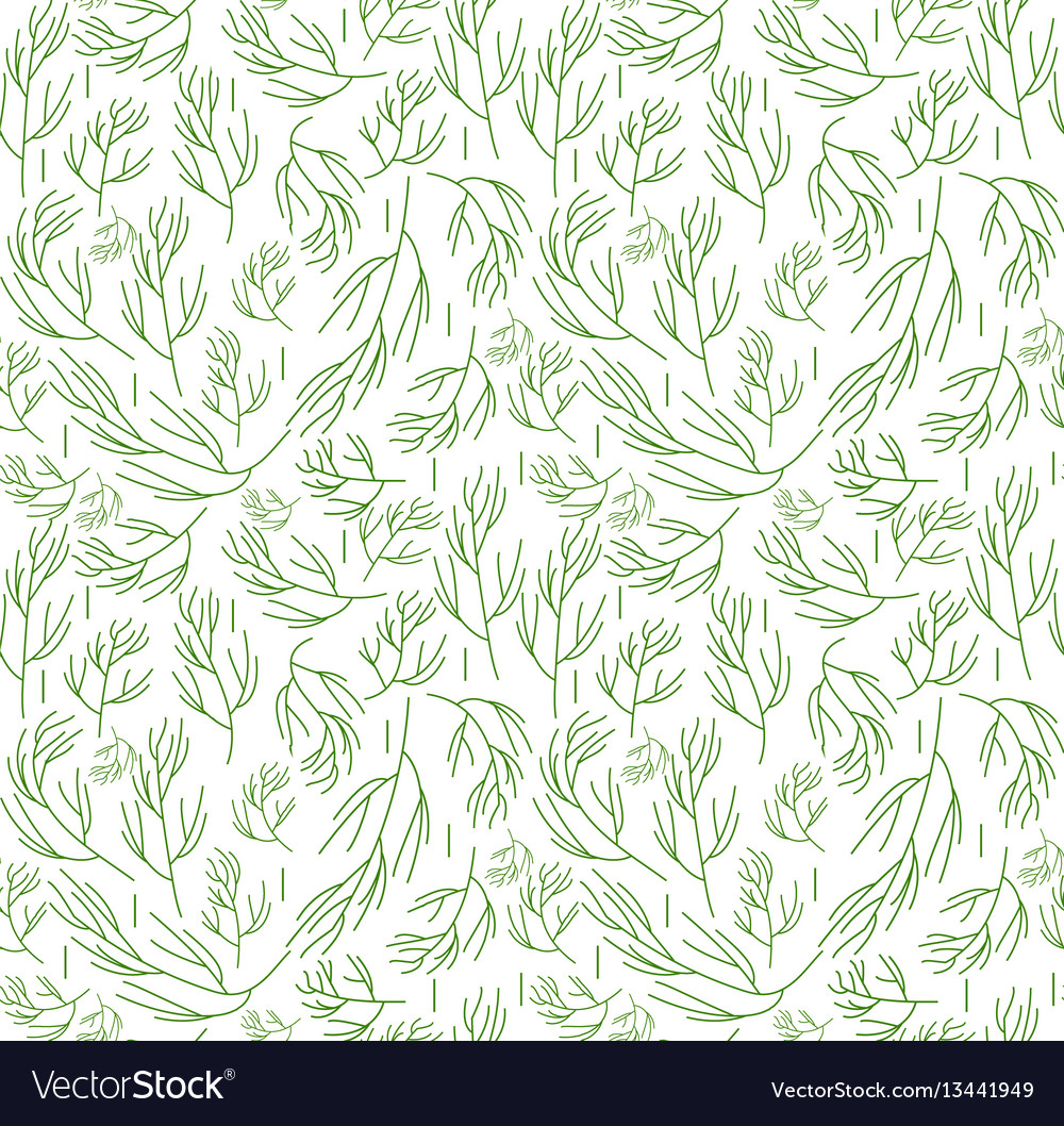Herbs Seamless Pattern Dill Endless Background Vector Image