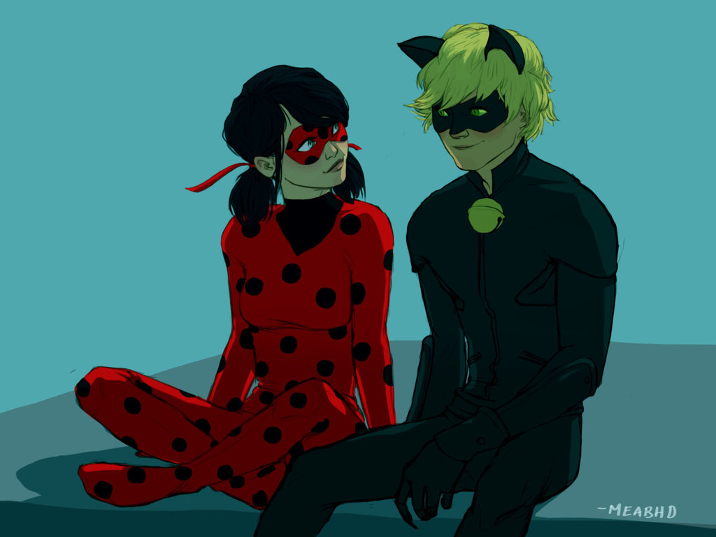 Miraculous Ladybug And Chat Noir By MeabHDeloughry