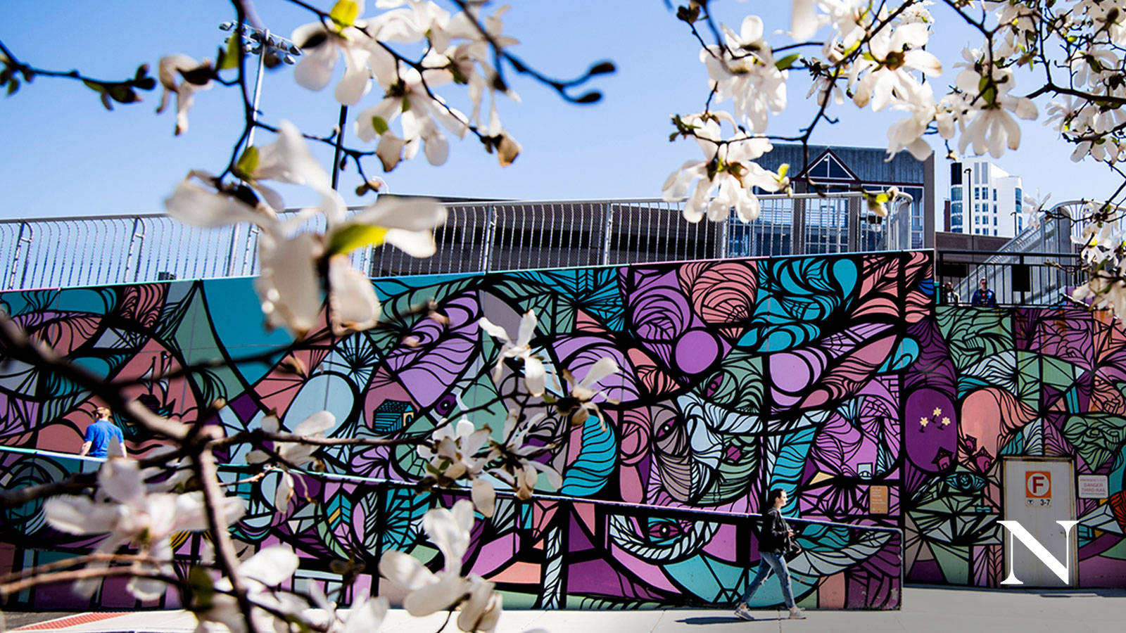 Top Northeastern University Wallpaper Full HD 4k To Use