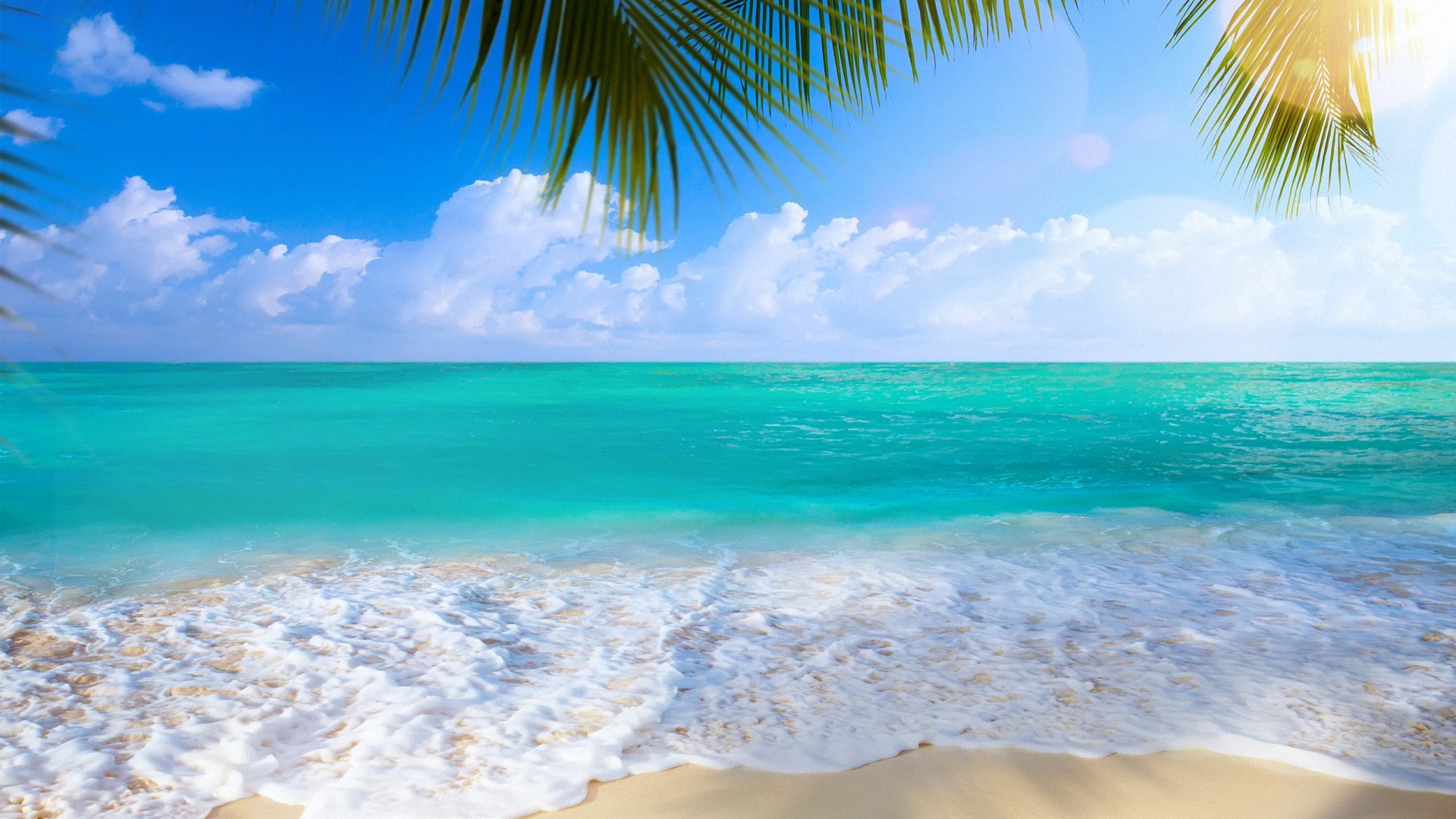 Tropical beach with turquoise water, white sand, and palm trees under a sunny blue sky