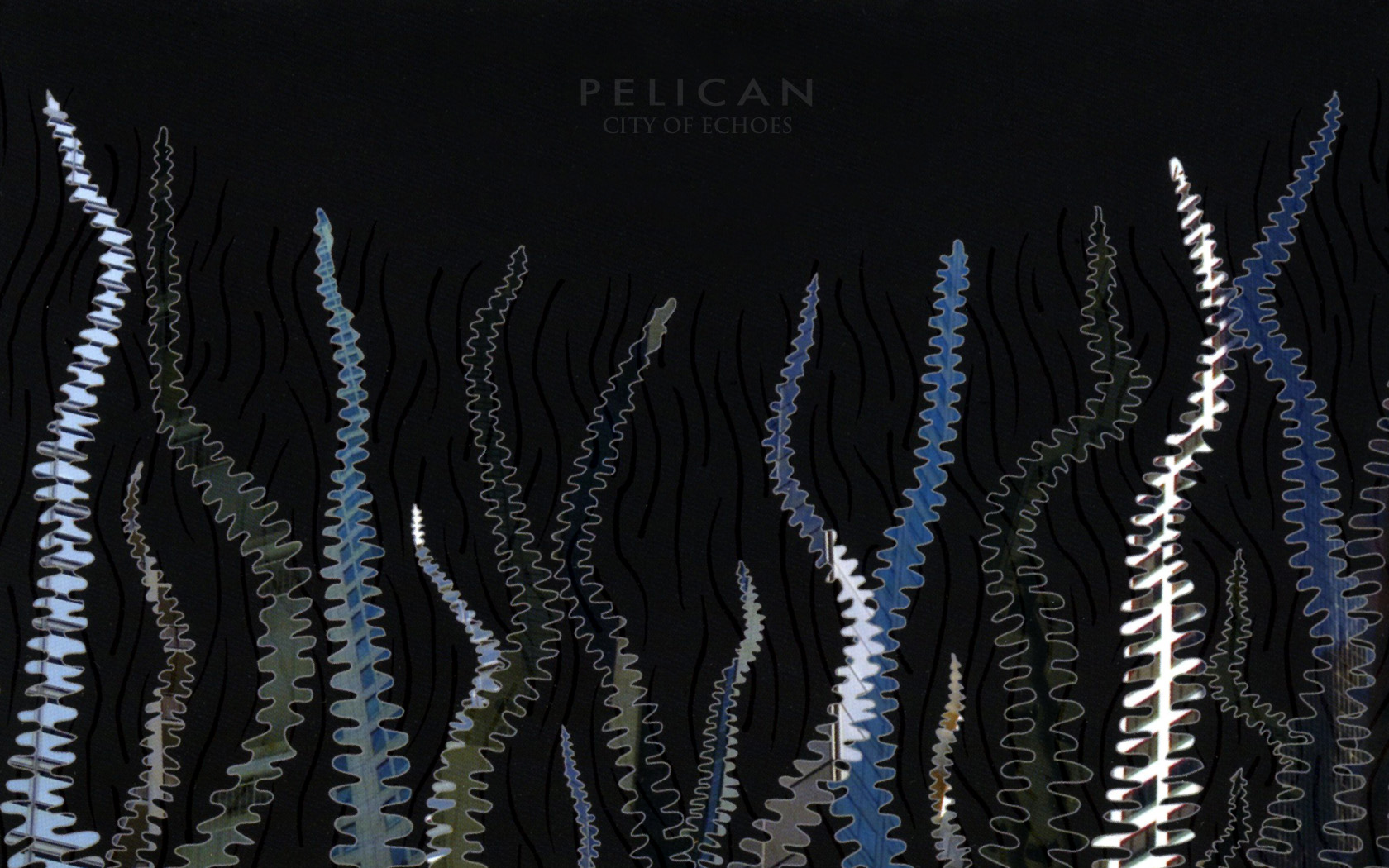 Music Pelican Wallpaper