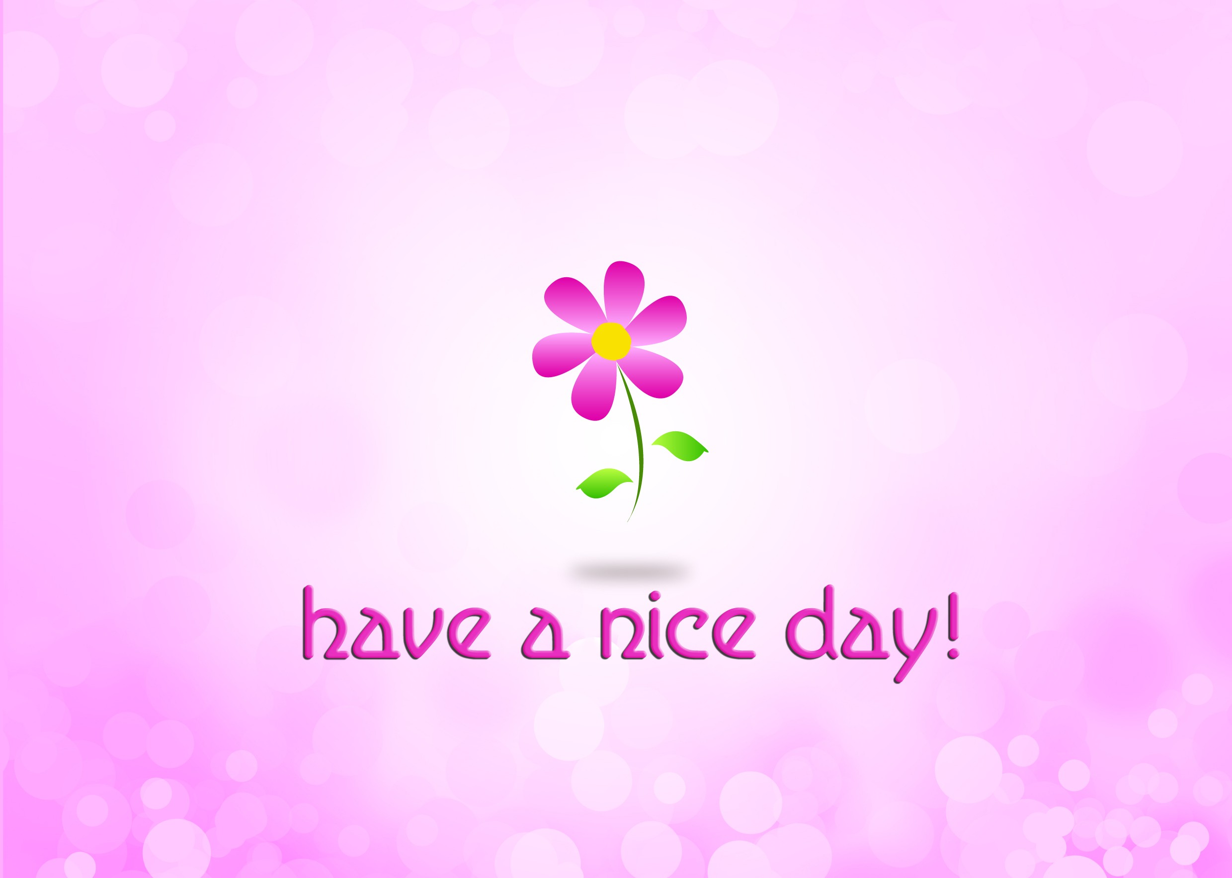 Have A Nice Day Flowers HD Wallpaper