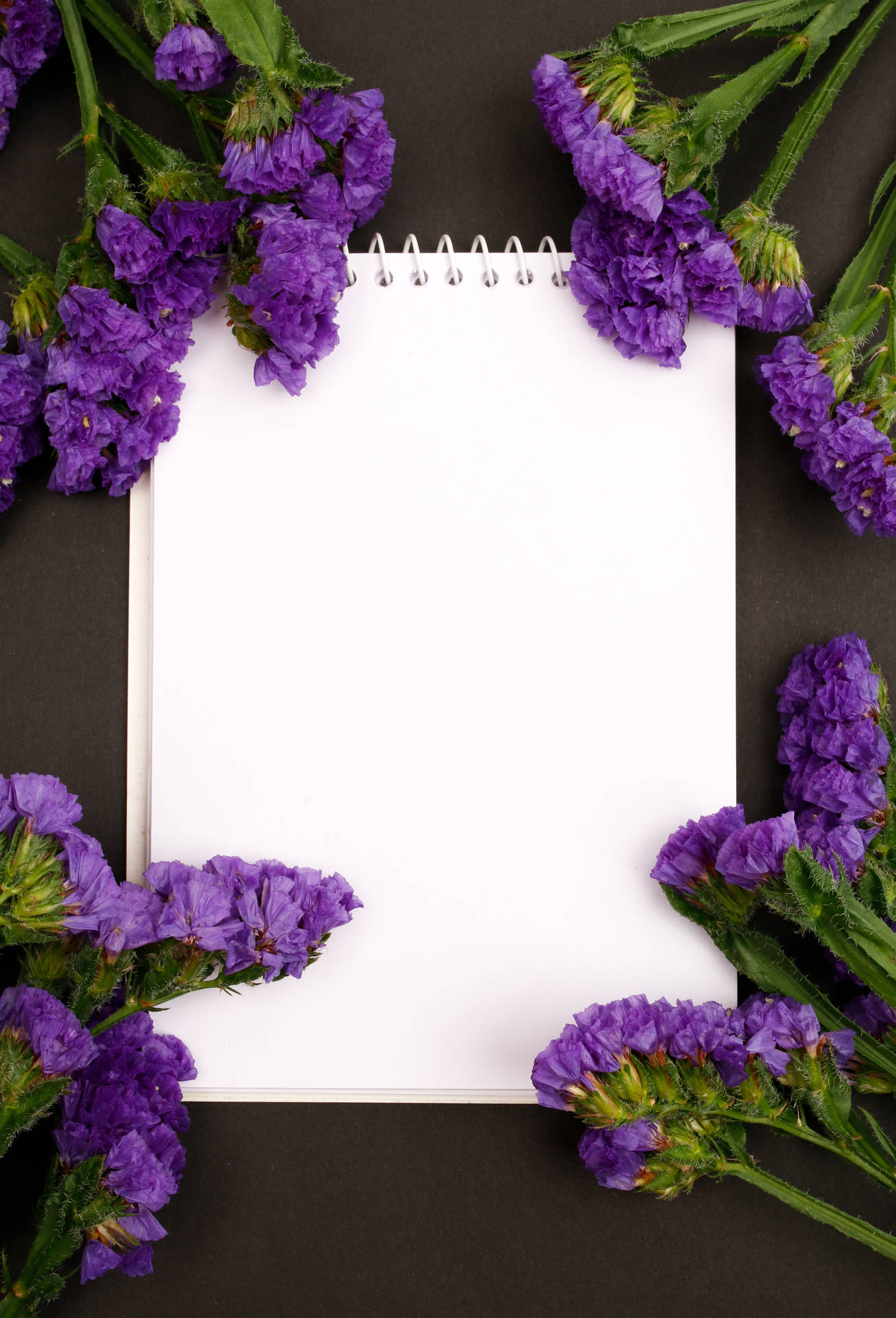 Blank Note With Sea Lavenders D3jw9puksb81scbs Wallpaper
