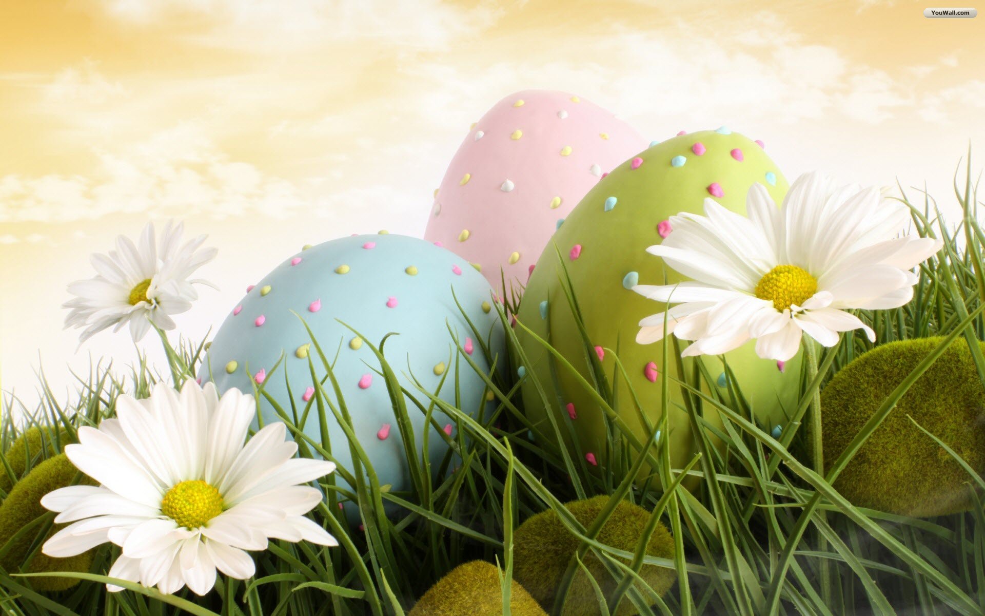 As Desktop Wallpaper Dotted Easter Eggs Kb