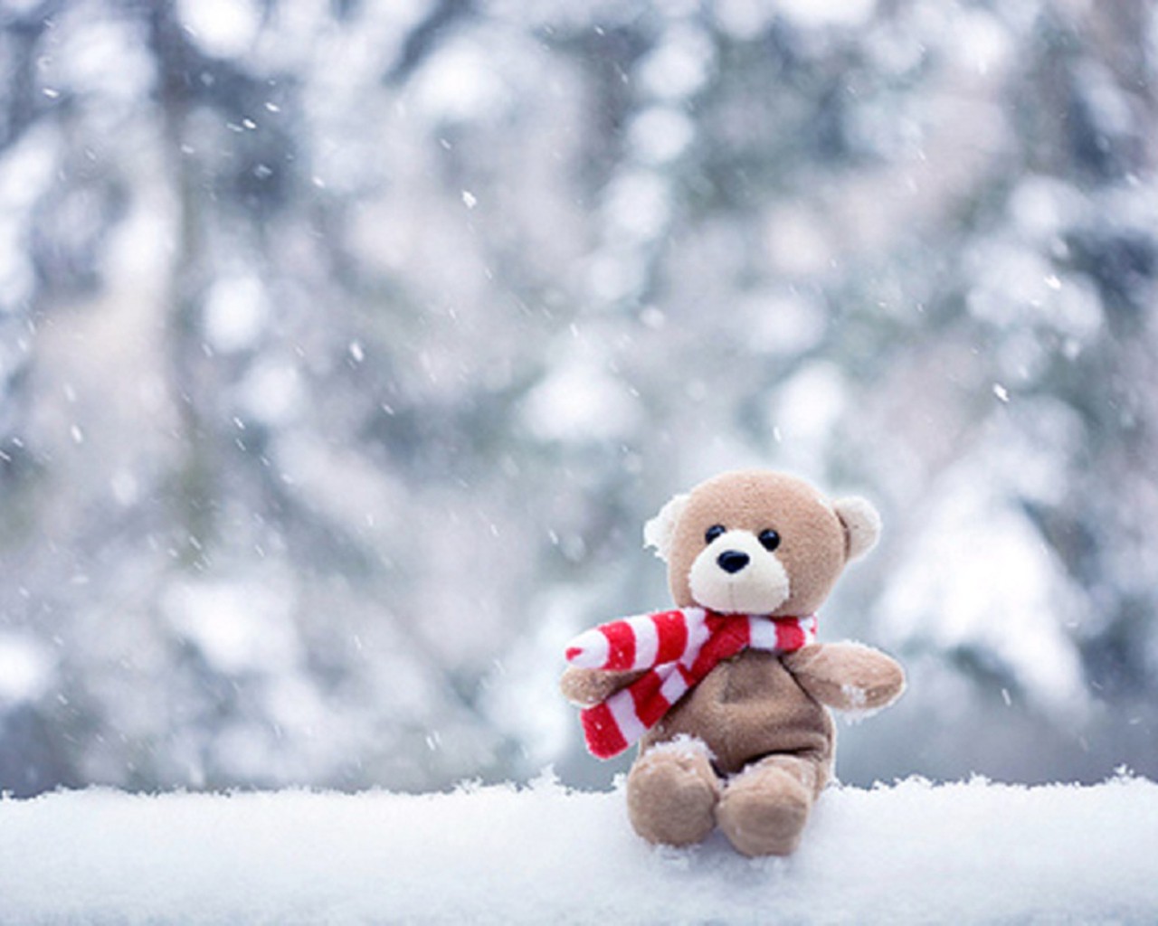 Related To Most Beautiful Teddy Bear Wallpaper