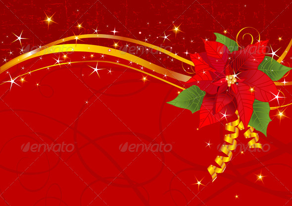 Christmas Poinsettia Background Seasons Holidays
