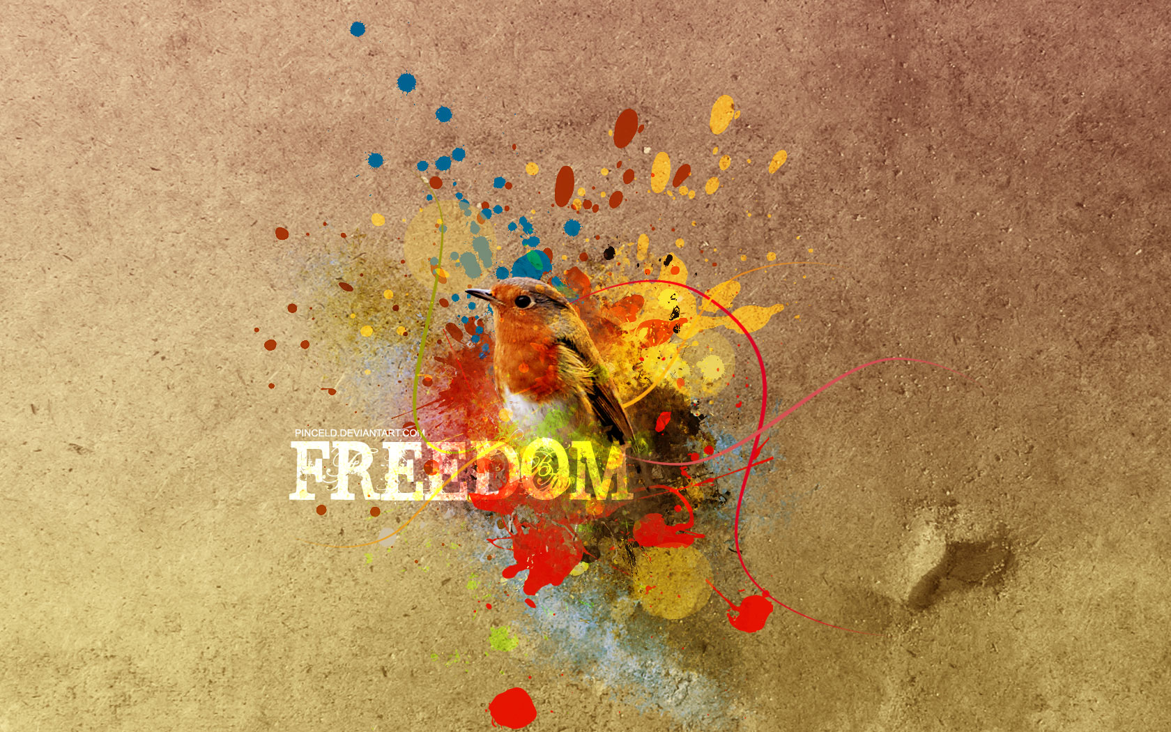 Freedom Wallpaper By Pinceld 1680x1050 pixel Popular HD Wallpaper 1680x1050