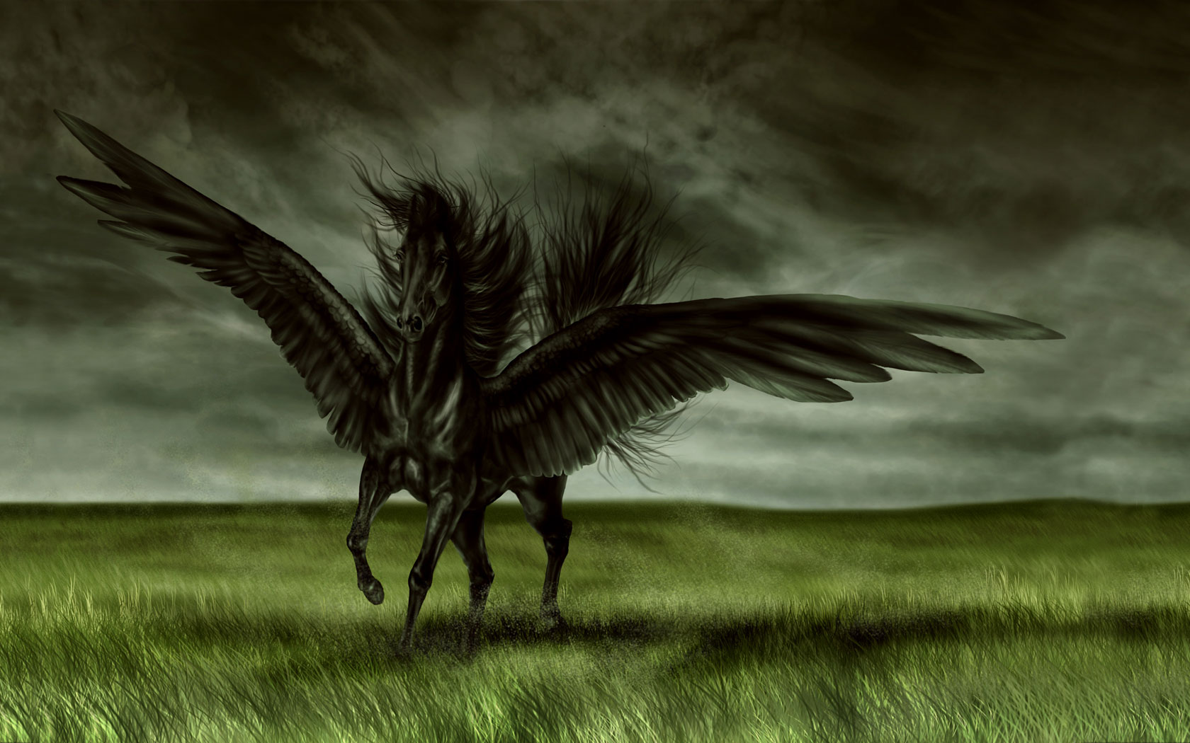 Wallpaper Black Pegasus