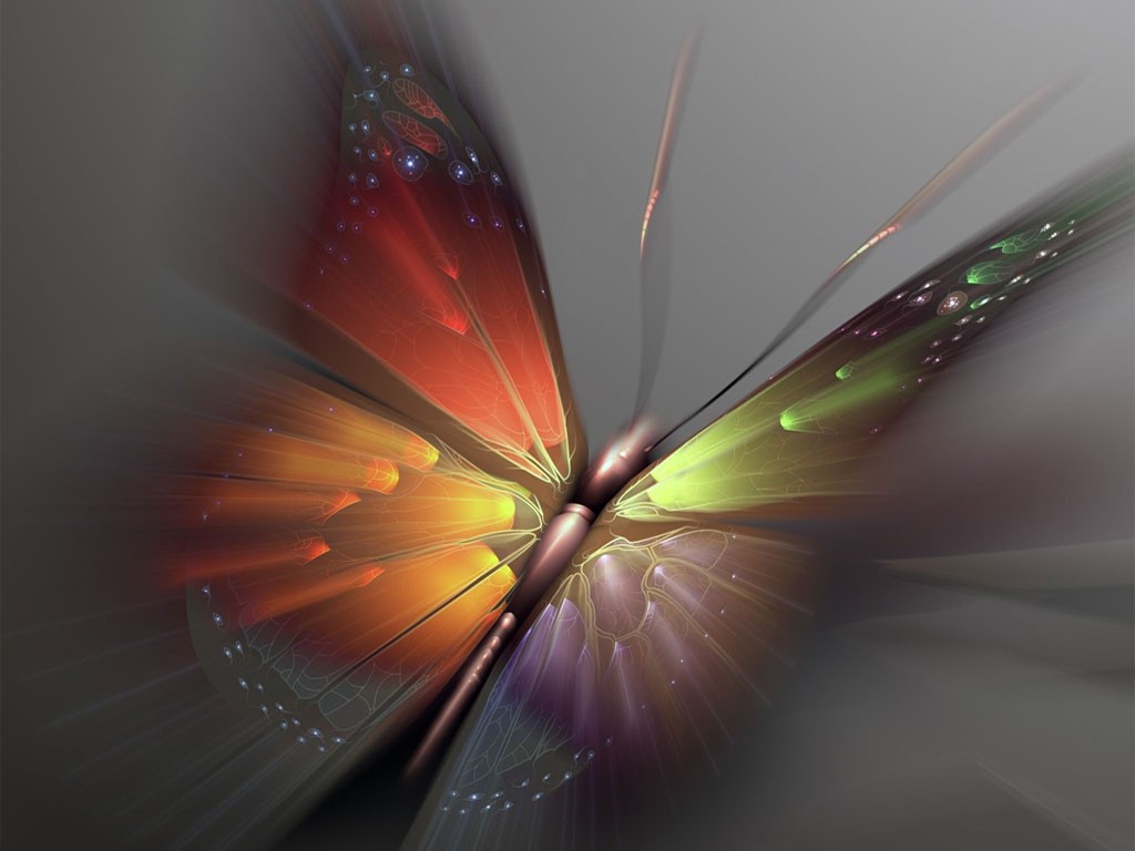 Colorful Abstract Butterfly Wallpaper